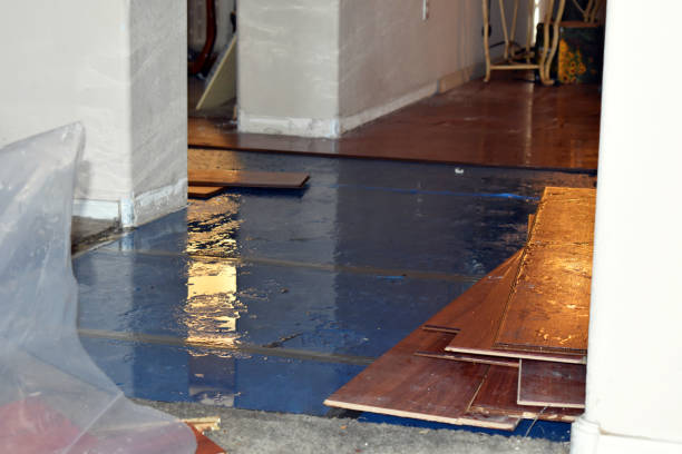 Professional Water Damage Restoration technician working in Brighton, MA